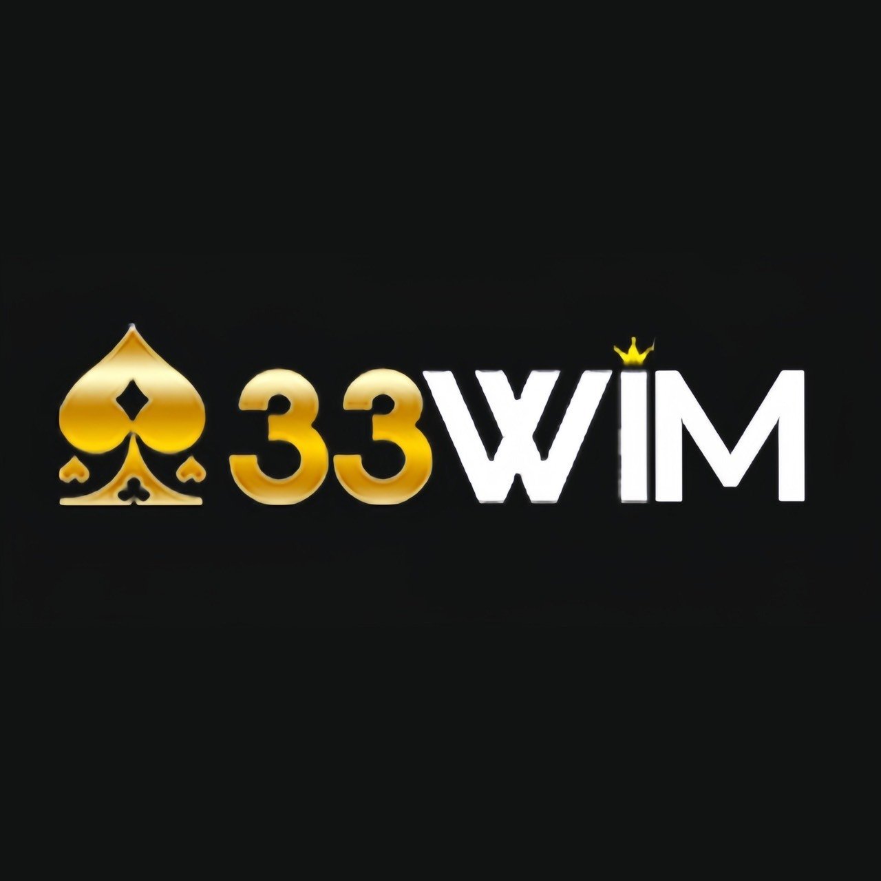Logo 33wim